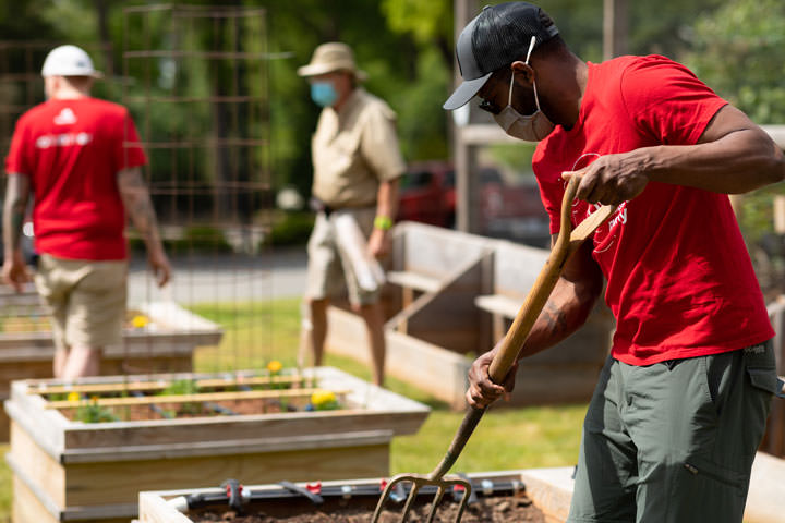 Red Hat volunteers cultivate vegetables in a community garden.